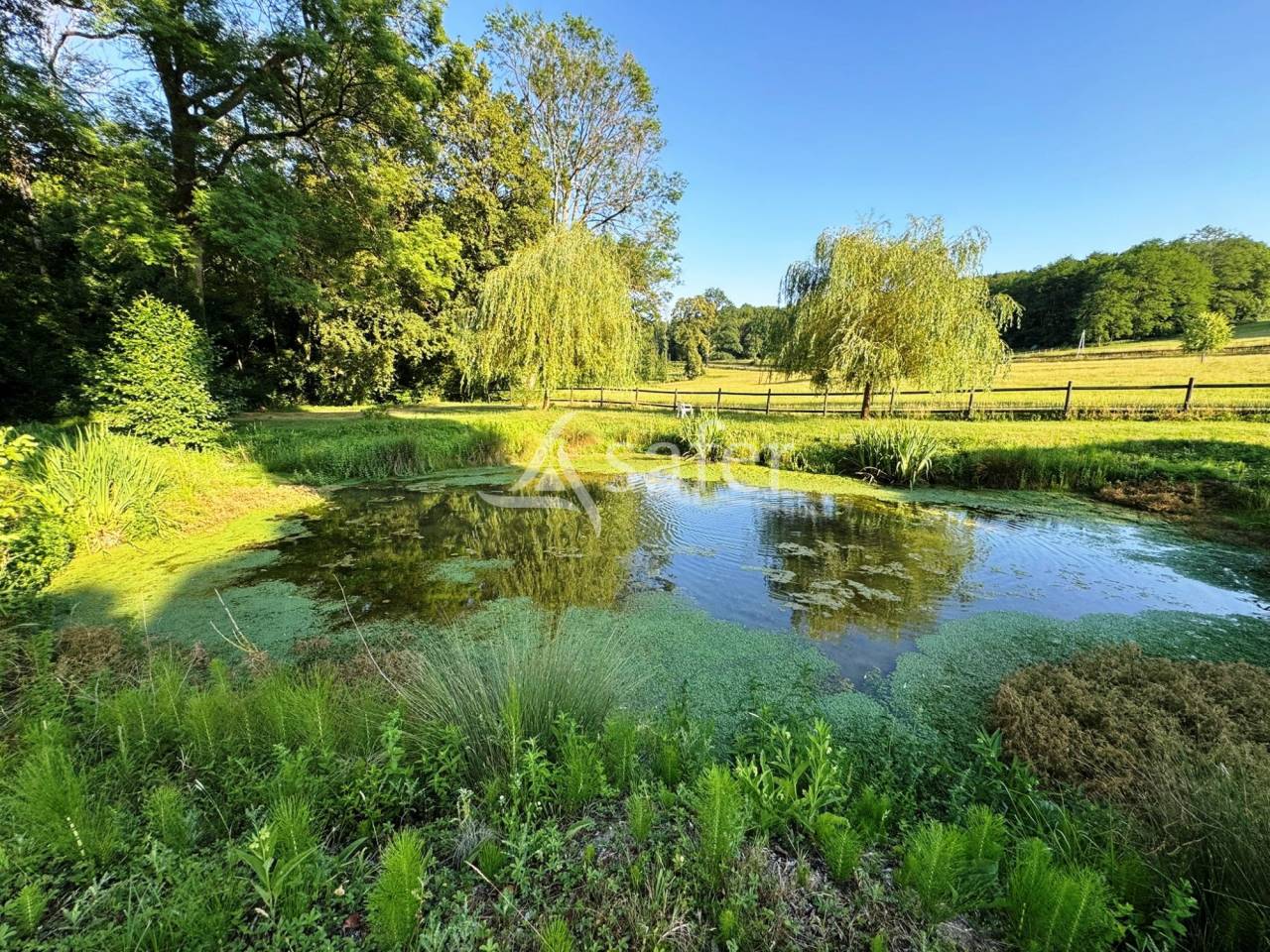 Domaine Equestre