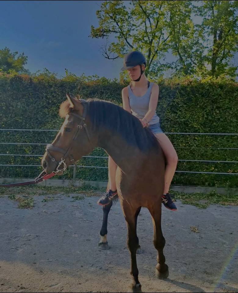&Agrave; VENDRE - Nesquik des Franch&rsquo;Balzanes (renomm&eacute; Tango) 