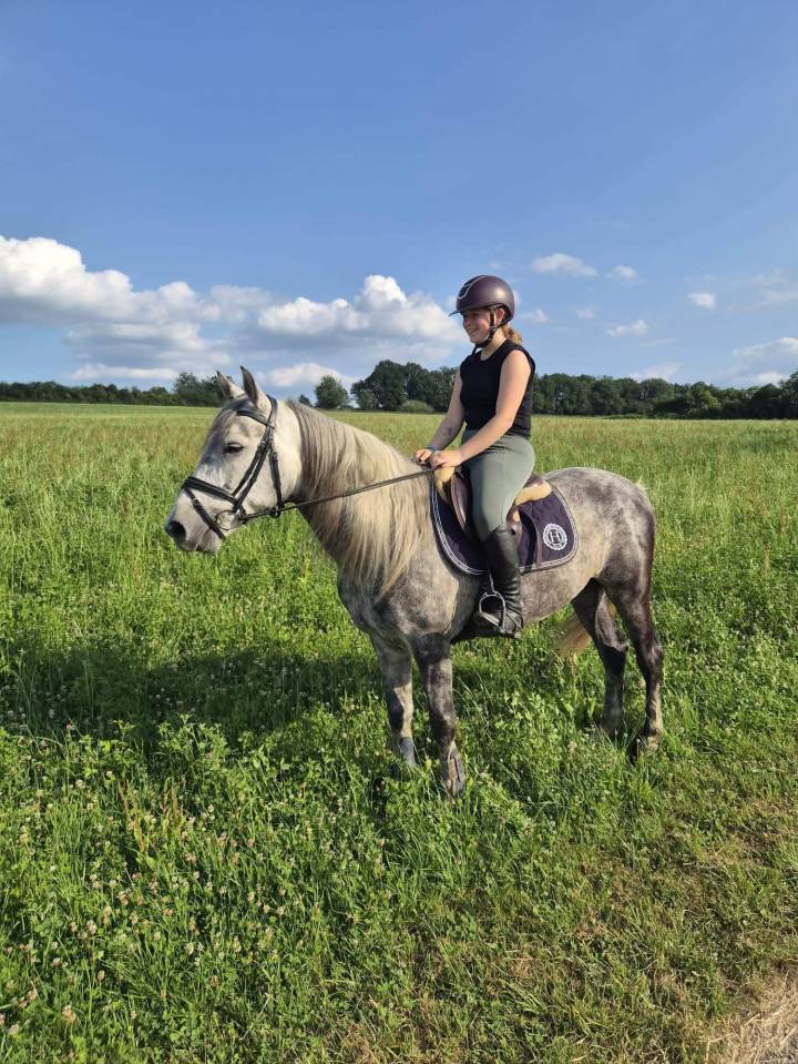 Poney de loisir
