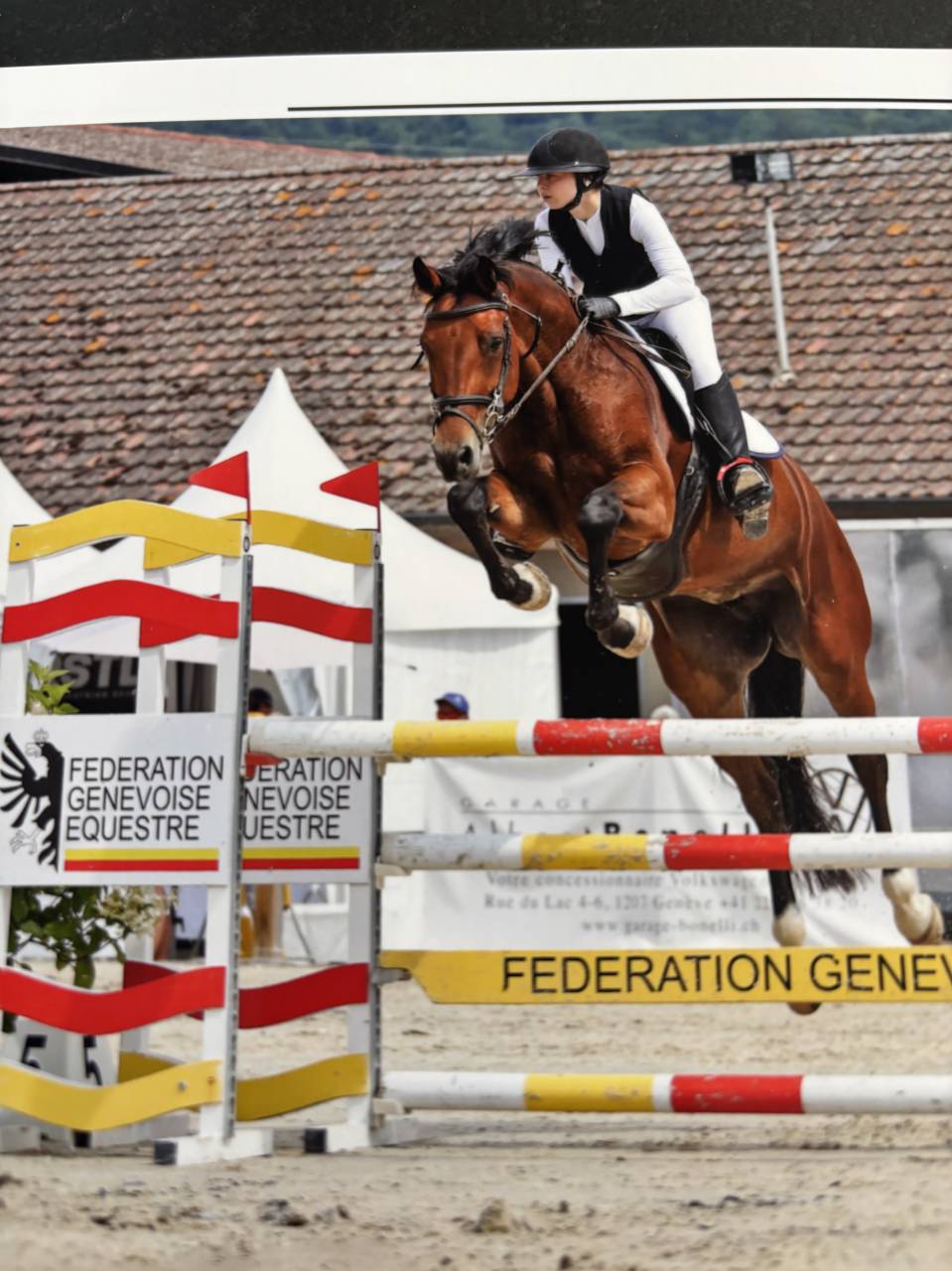 Jument KWPN 6 ans x-rays RAS prospect Am1/Elite/Hunter