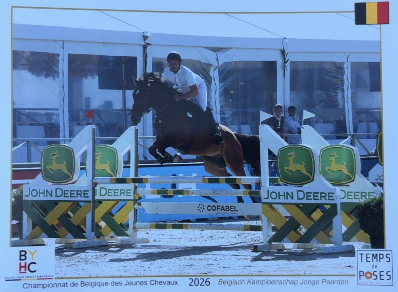 Hongre Sbs - (Versace van de Ruithershoeve X Rascalino)