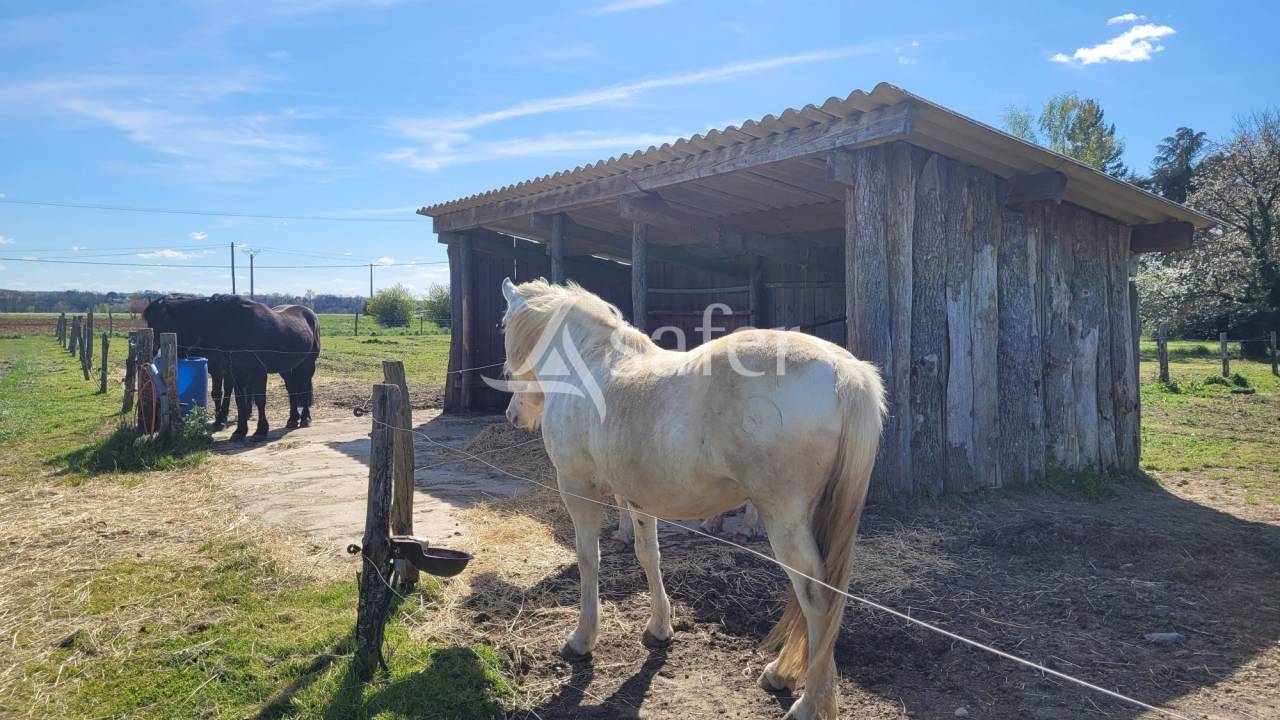 Centre &eacute;questre cl&eacute; en main TARN
