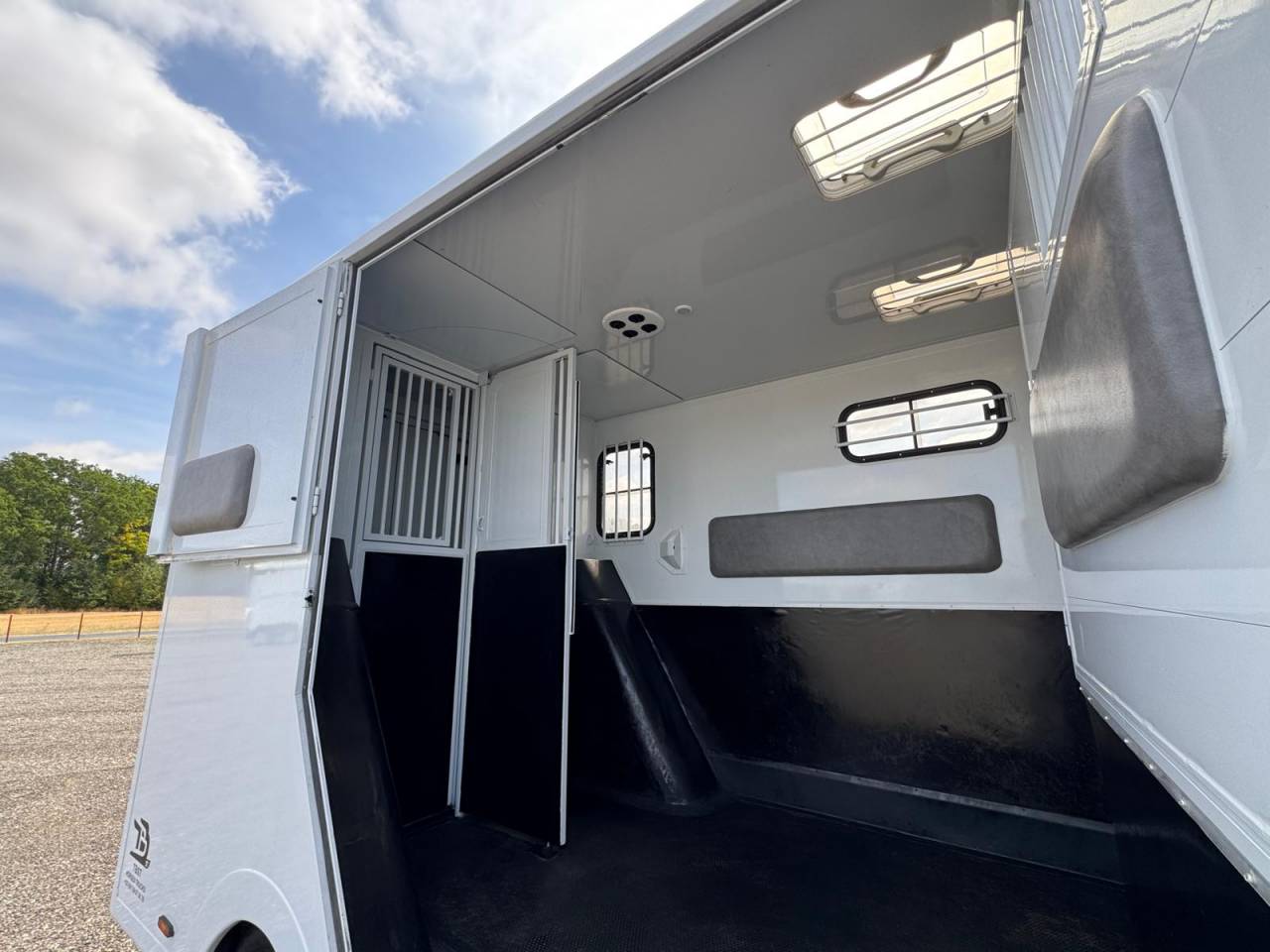 RENAULT MASTER TBST STALLE 5