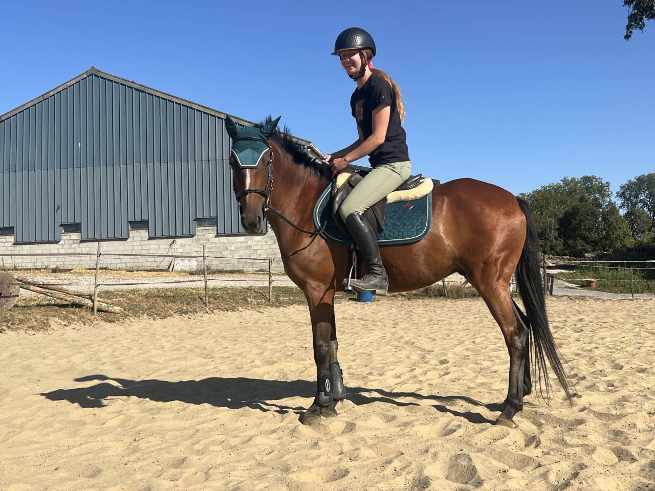Poney D super chic potentiel cso