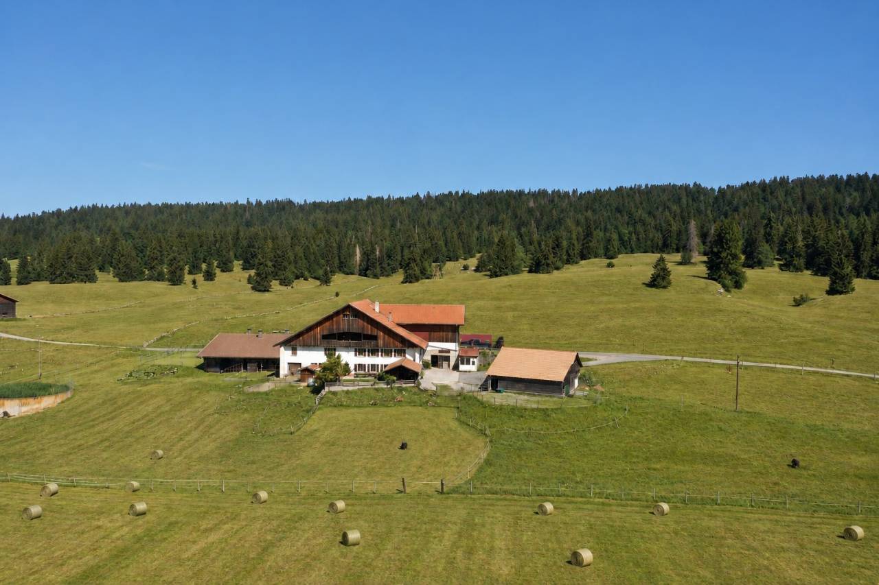 RECHERCHE ferme &eacute;questre suisse romande