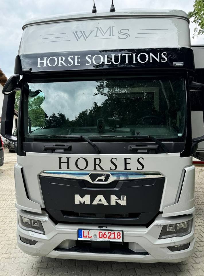 MAN TGM 15.290 WMS POP OUT