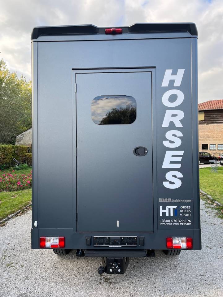 MAXUS DELIVER 9 LUXURY MSG STALLION LIGHT