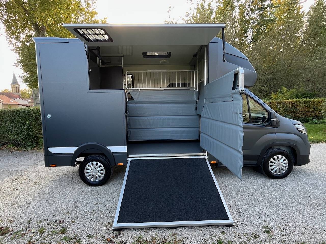 MAXUS DELIVER 9 LUXURY MSG STALLION LIGHT