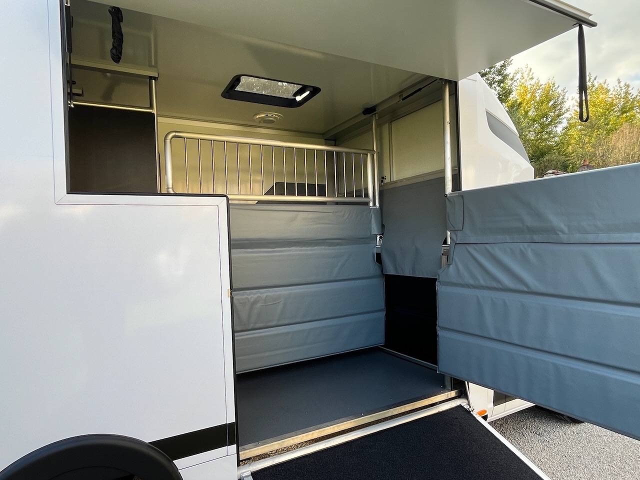 MAXUS DELIVER 9 LUXURY MSG STALLION LIGHT