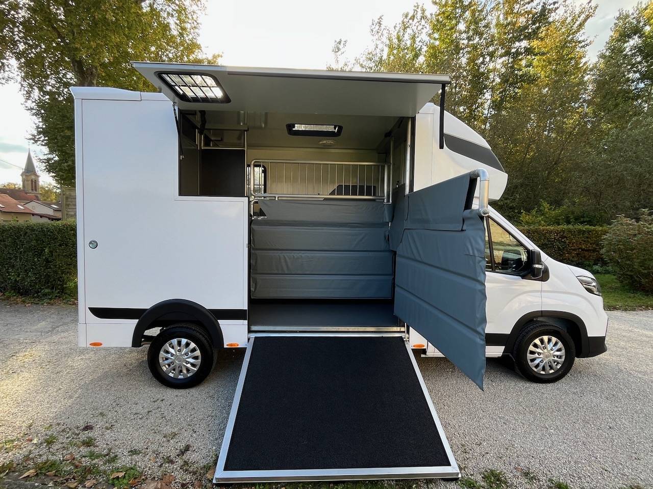 MAXUS DELIVER 9 LUXURY MSG STALLION LIGHT