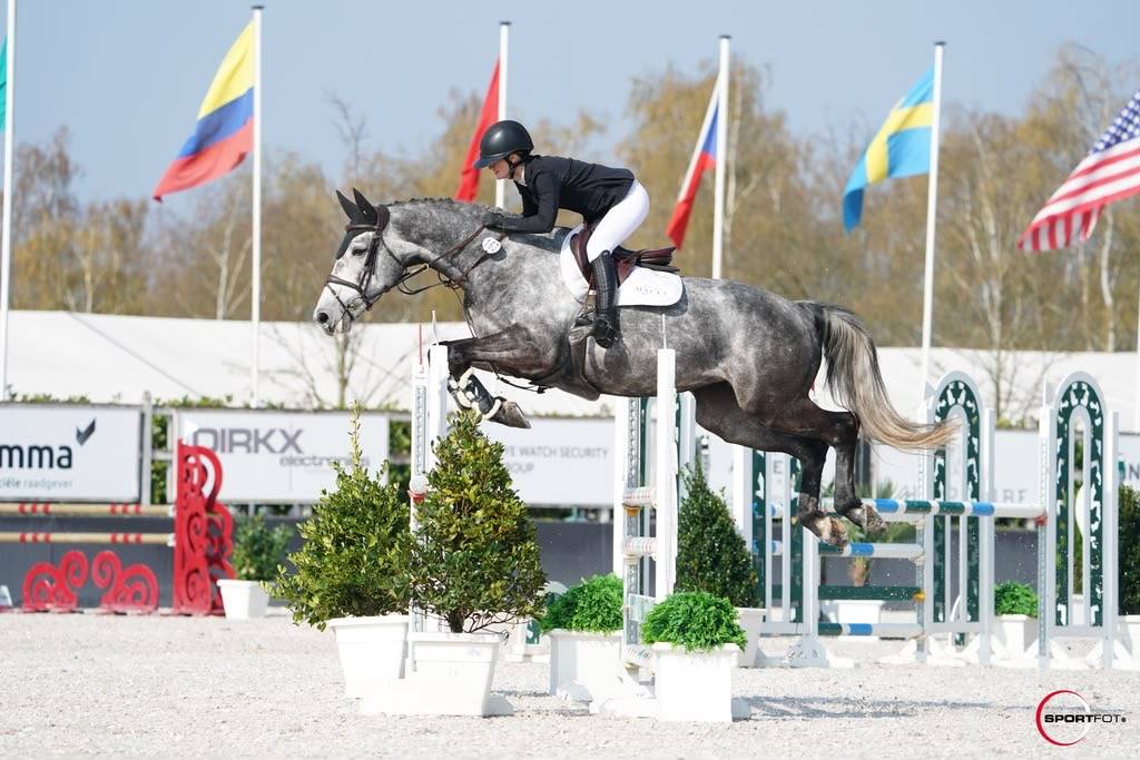 Jument de 10 ans Darco X Quick Star
