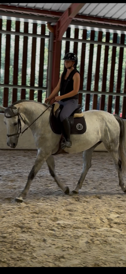 Jument de 10 ans Darco X Quick Star