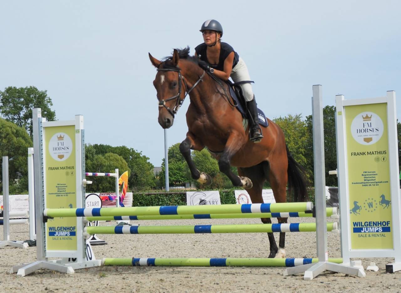 Top jument - 3 ans 