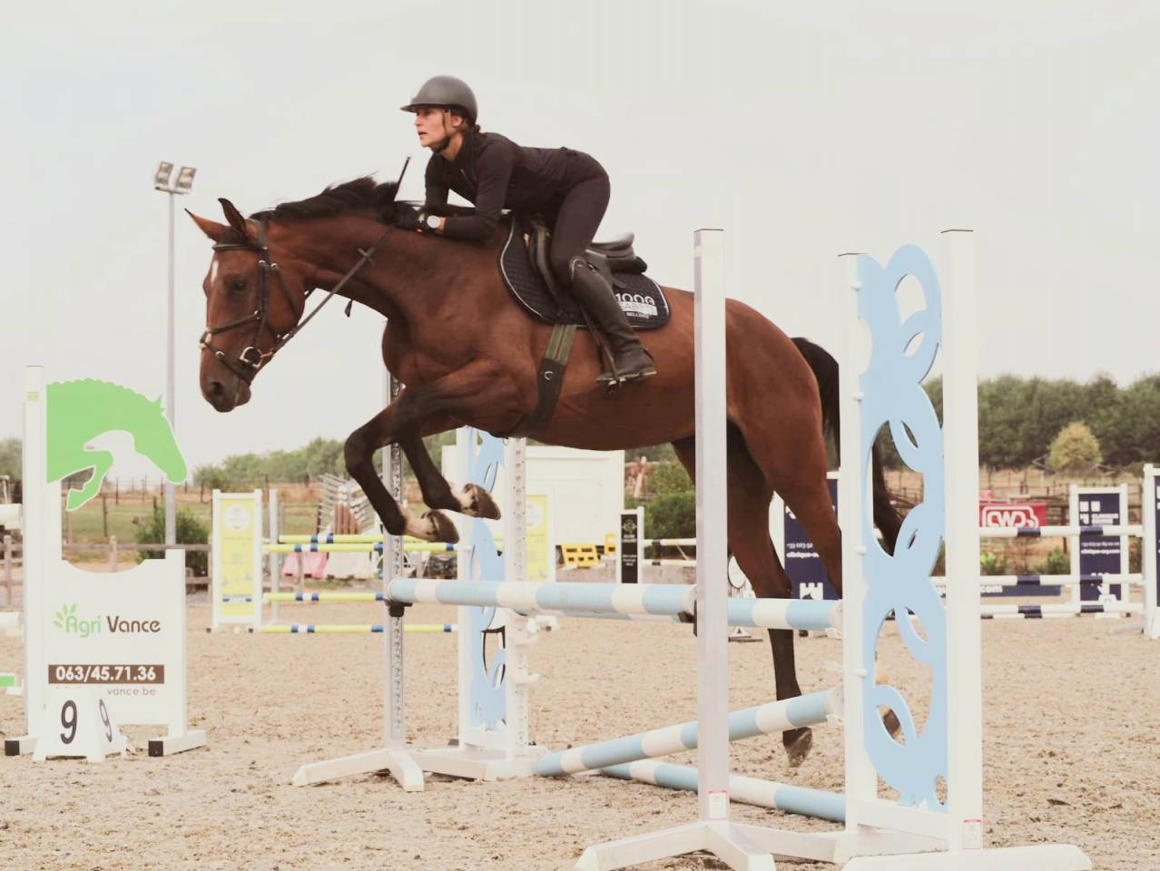 Top jument - 3 ans 