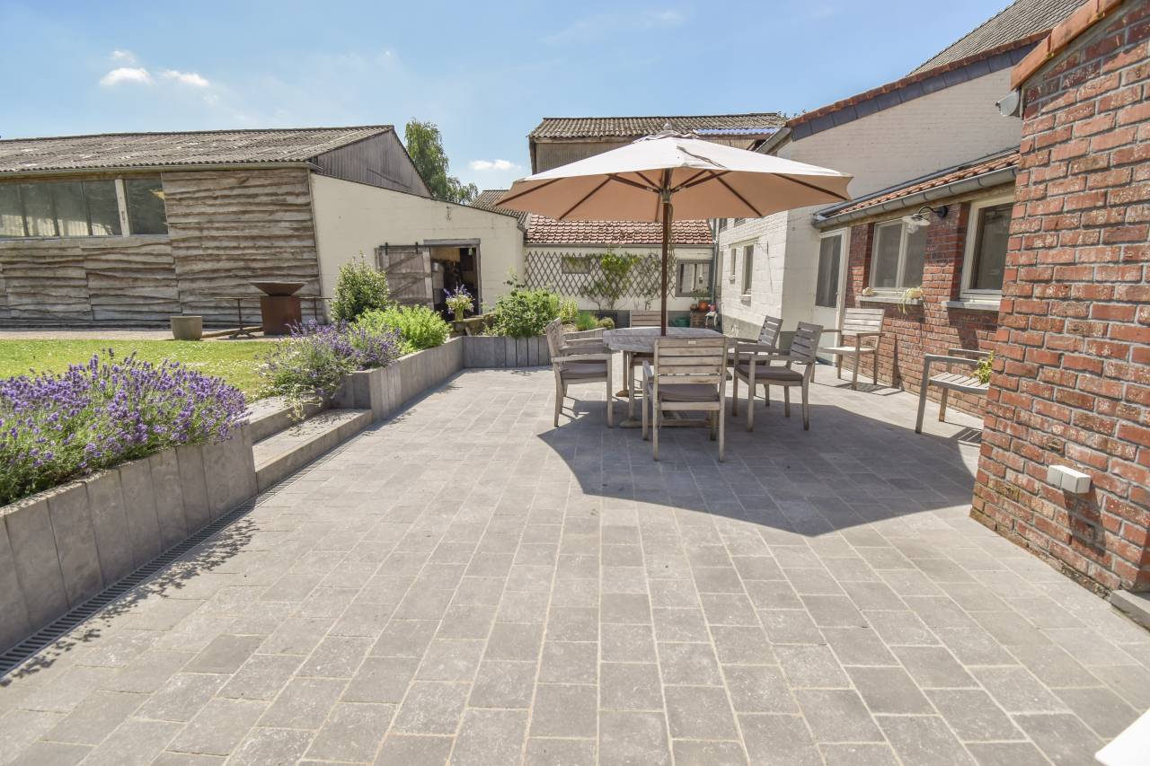 AUTHENTIQUE FERME BRABAN&Ccedil;ONNE avec infras. &eacute;questre