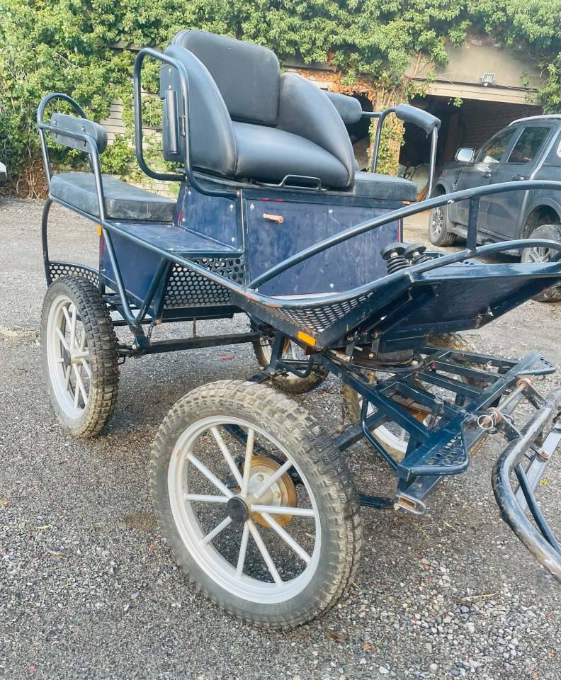 Voiture d&rsquo;attelage type Marathon 