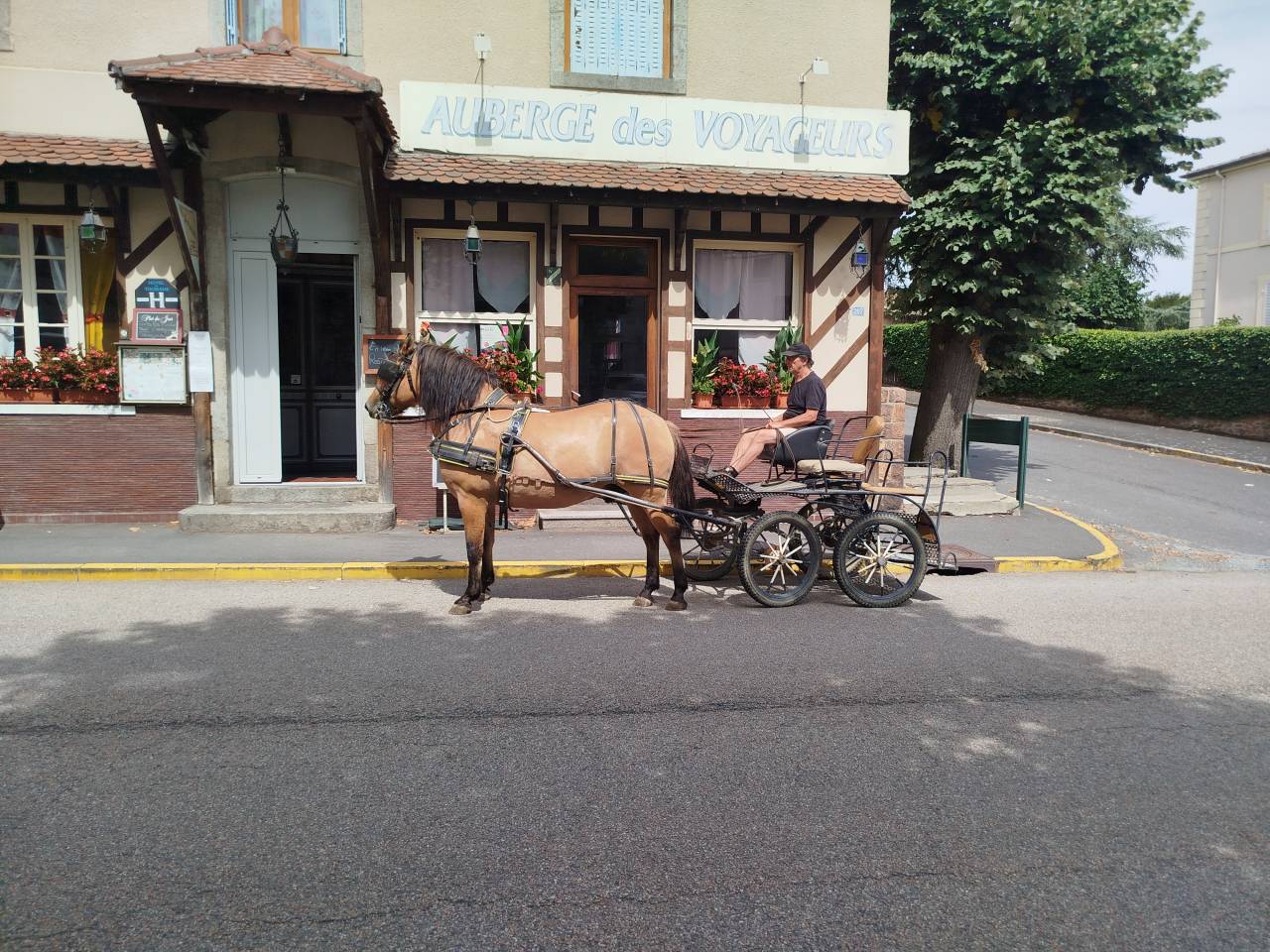 Idem, cheval de trait hongre