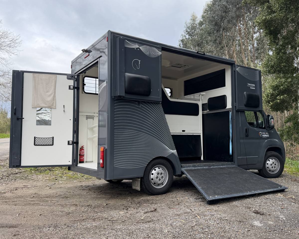 Camion VL Chevaux Citroen Junoer 2018 Occasion