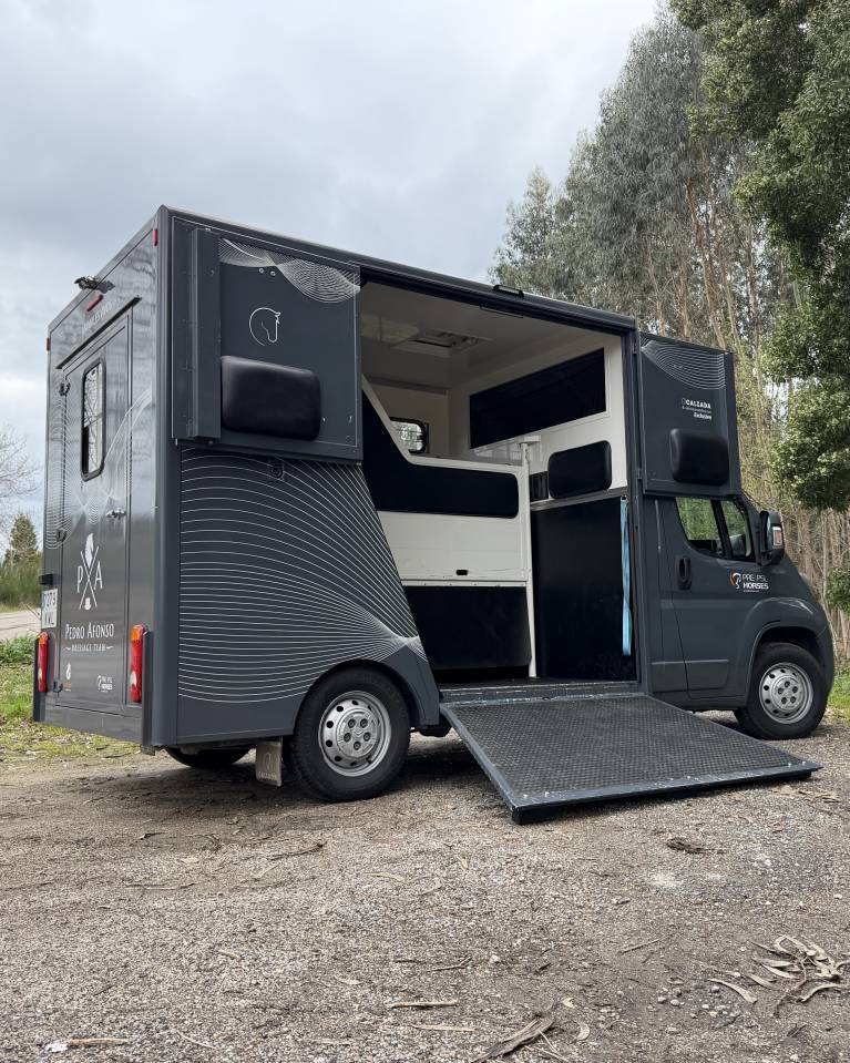 Camion VL Chevaux Citroen Junoer 2018 Occasion