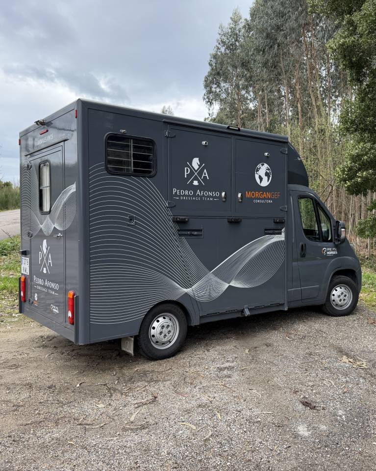 Camion VL Chevaux Citroen Junoer 2018 Occasion