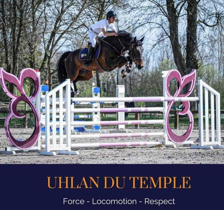 Jument3 ans selle francais 1.68m par Ulhan du temple