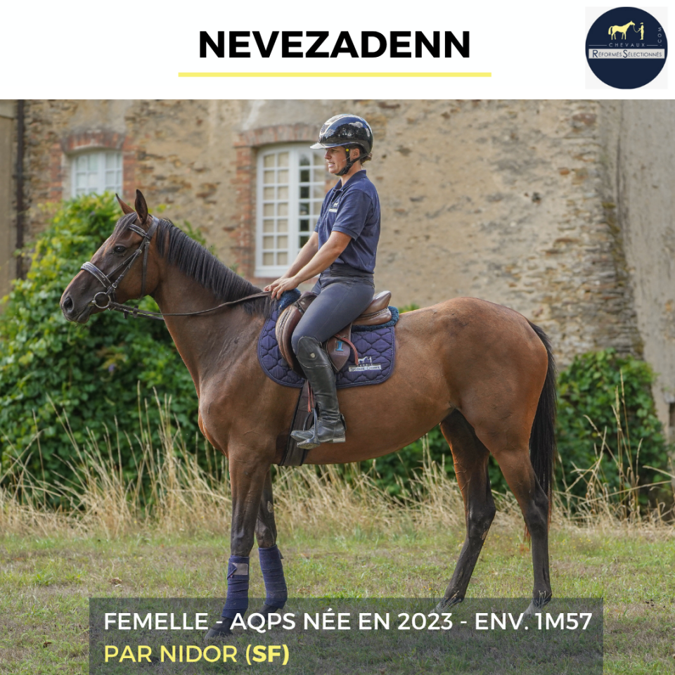 NEVEZADENN - AQPS - 3 ANS 