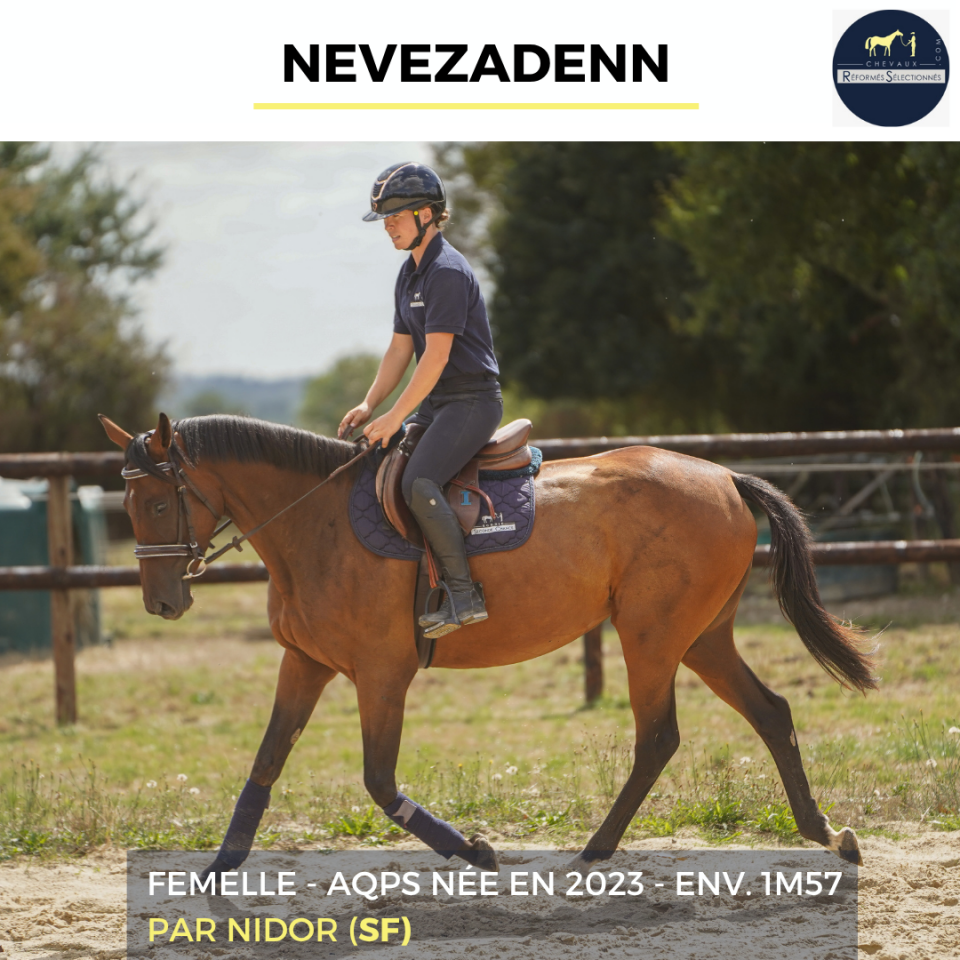 NEVEZADENN - AQPS - 3 ANS 