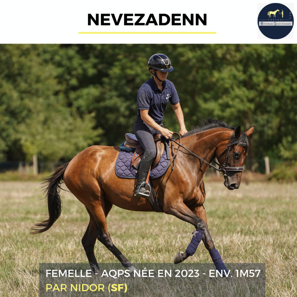 NEVEZADENN - AQPS - 3 ANS 