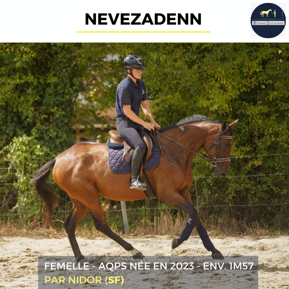 NEVEZADENN - AQPS - 3 ANS 
