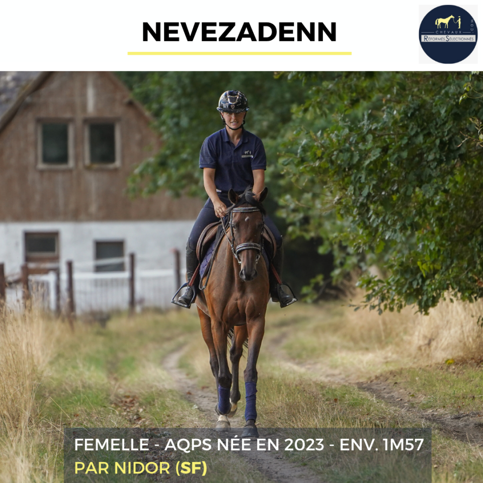NEVEZADENN - AQPS - 3 ANS 
