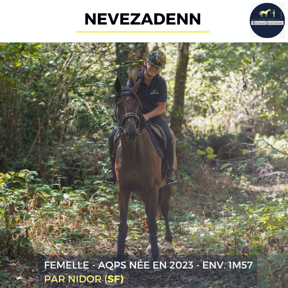 NEVEZADENN - AQPS - 3 ANS 