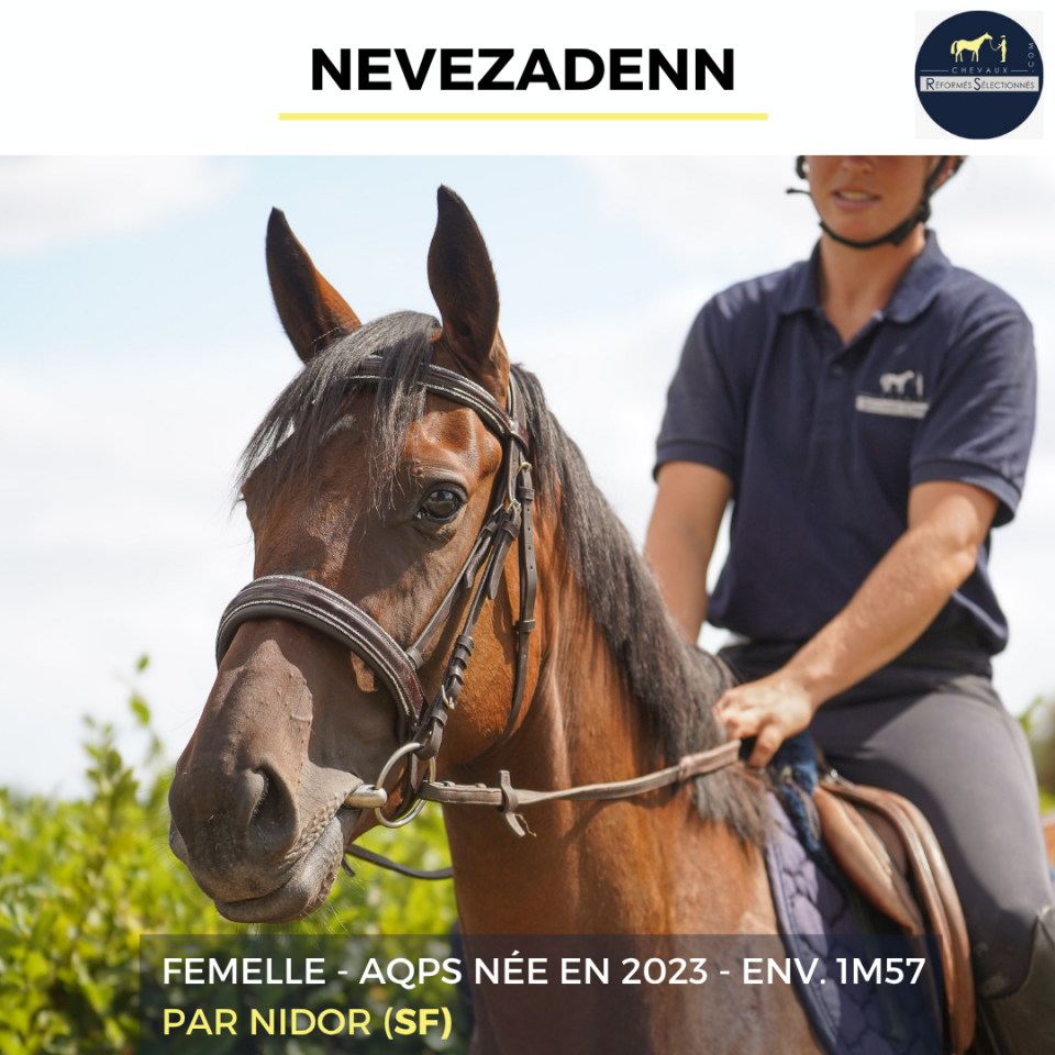 NEVEZADENN - AQPS - 3 ANS 