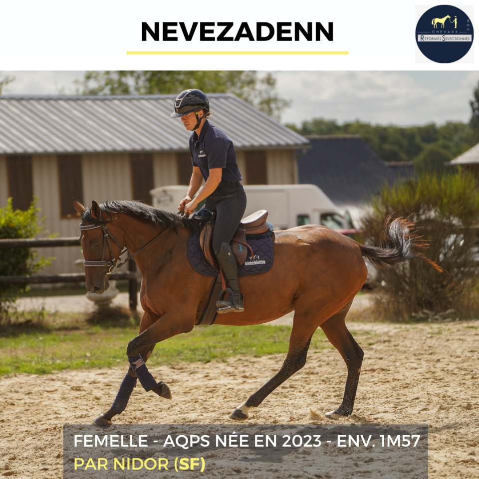 NEVEZADENN - AQPS - 3 ANS 