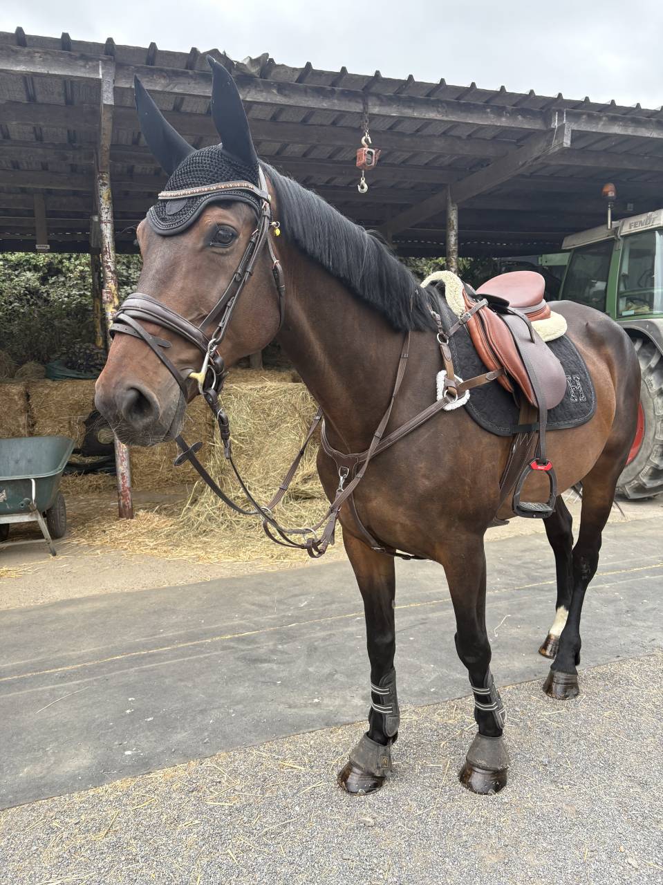 &Agrave; vendre 
