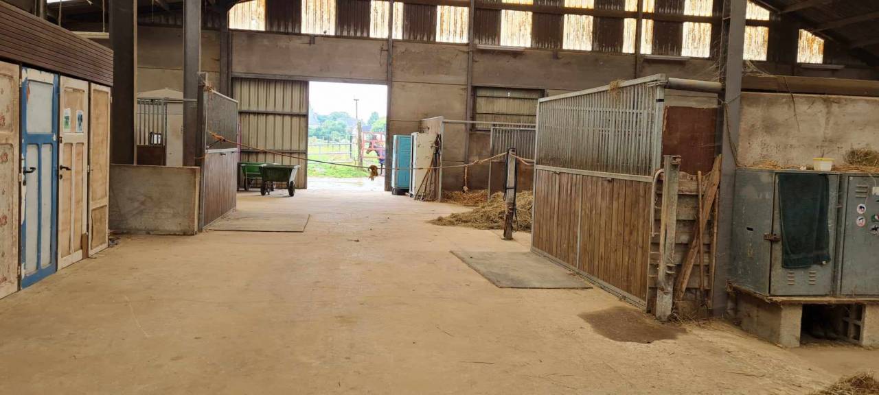 Pension chevaux Namur