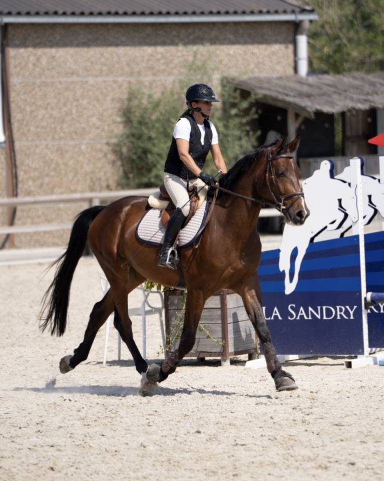 Hongre 4 ans cso
