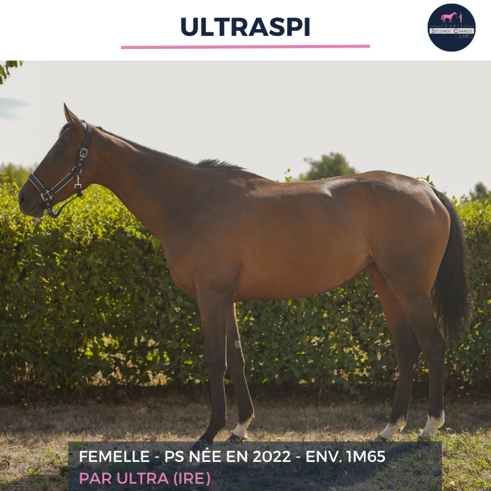 ULTRASPI - PS - 4 ANS 