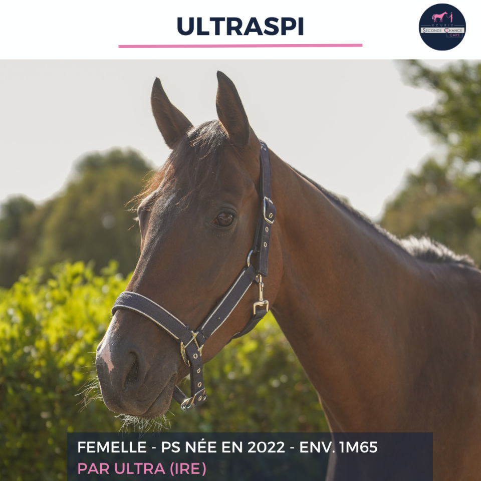 ULTRASPI - PS - 4 ANS 