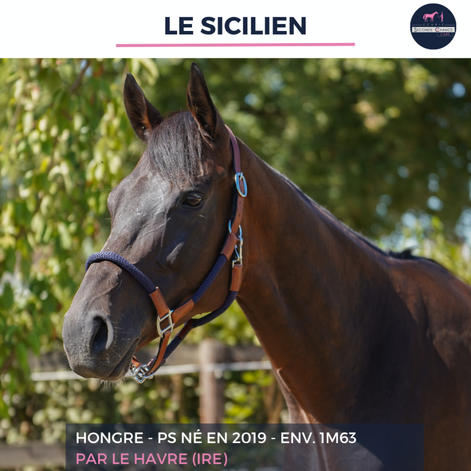 LE SICILIEN - PS - 7 ANS