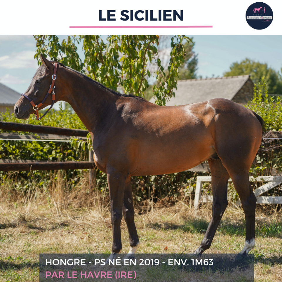 LE SICILIEN - PS - 7 ANS