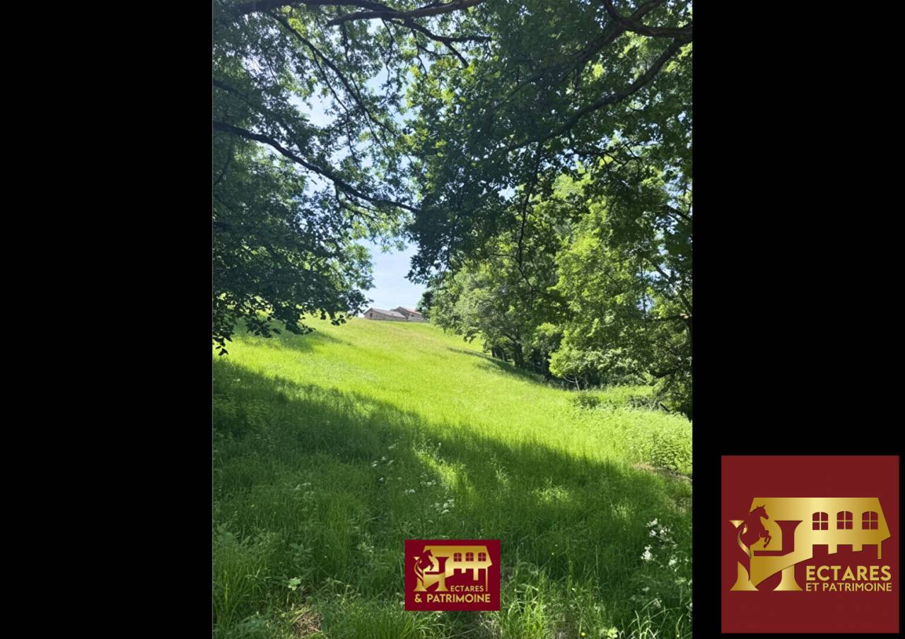 DOMAINE DE CARACT&Egrave;RE ET ACTIVIT&Eacute; TOURISTIQUE AU COEUR DU HAUT-QUERCY