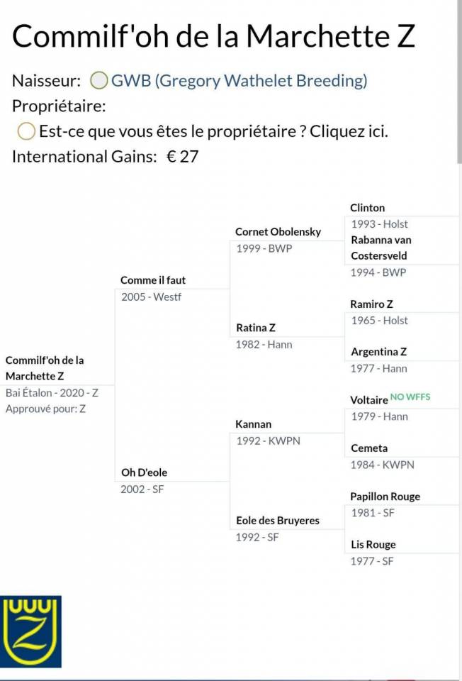 Poulain Pie de sport inscrit au Z par Commilf'oh de la 