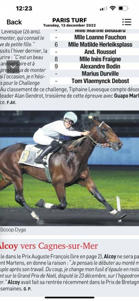 Cheval de loisir 10 ans