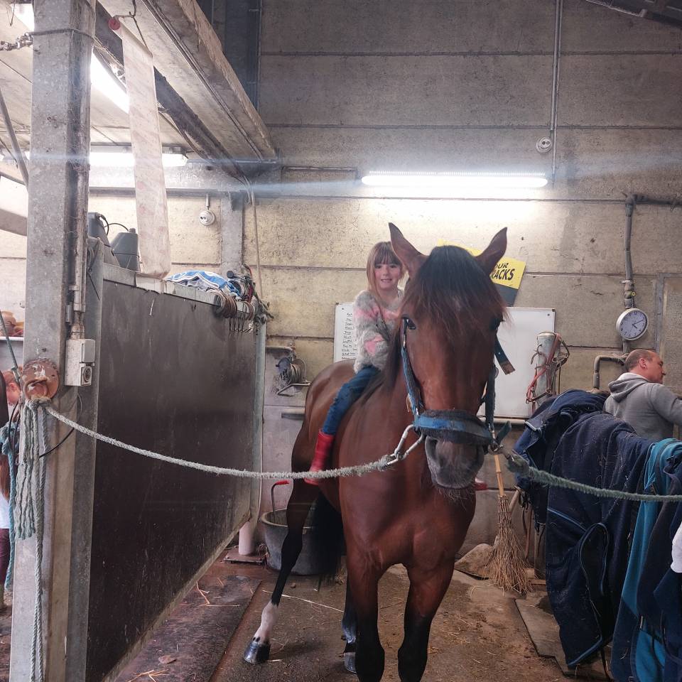 Cheval de loisir 10 ans