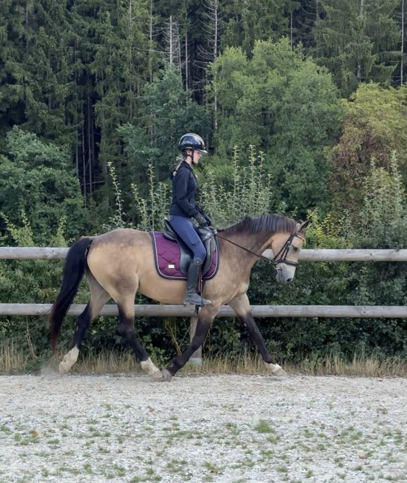 Tr&egrave;s jolie ponette de 11 ans - 146cm