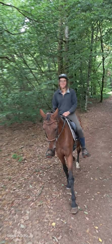 Afaya, jument de 9 ans