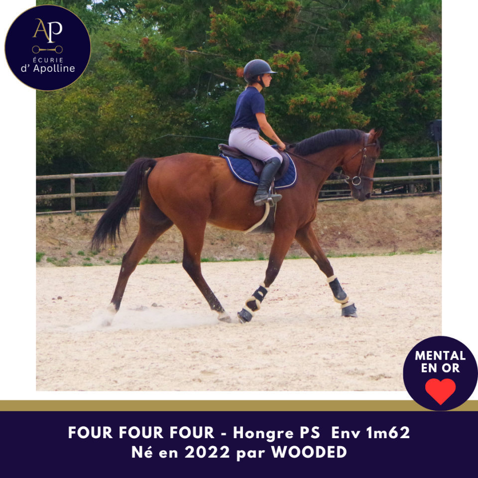 4 ans dot&eacute; d'un mental exceptionnel