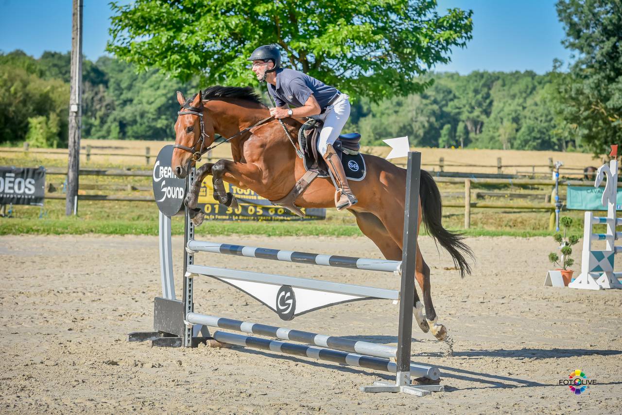 Le cheval qui donne confiance : Lovely Boy AD