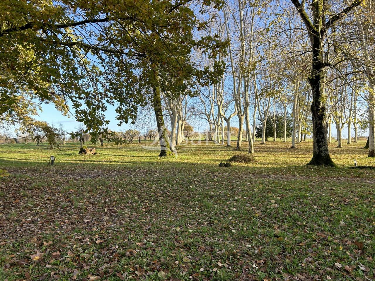 Magnifique domaine de 49 ha BIO au coeur de l'Albret
