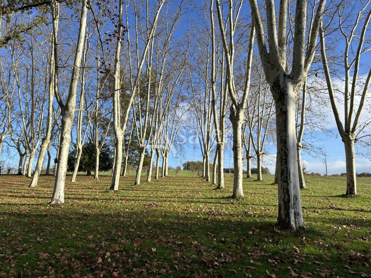Magnifique domaine de 49 ha BIO au coeur de l'Albret